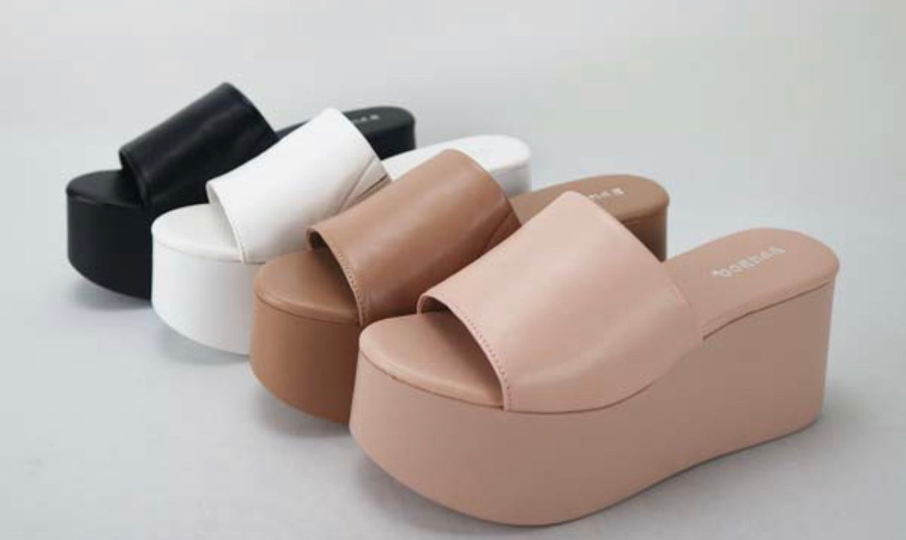 The Erica platform