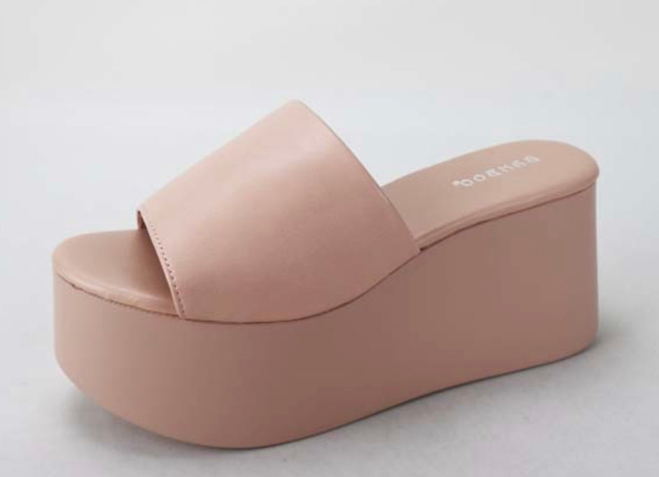 The Erica platform