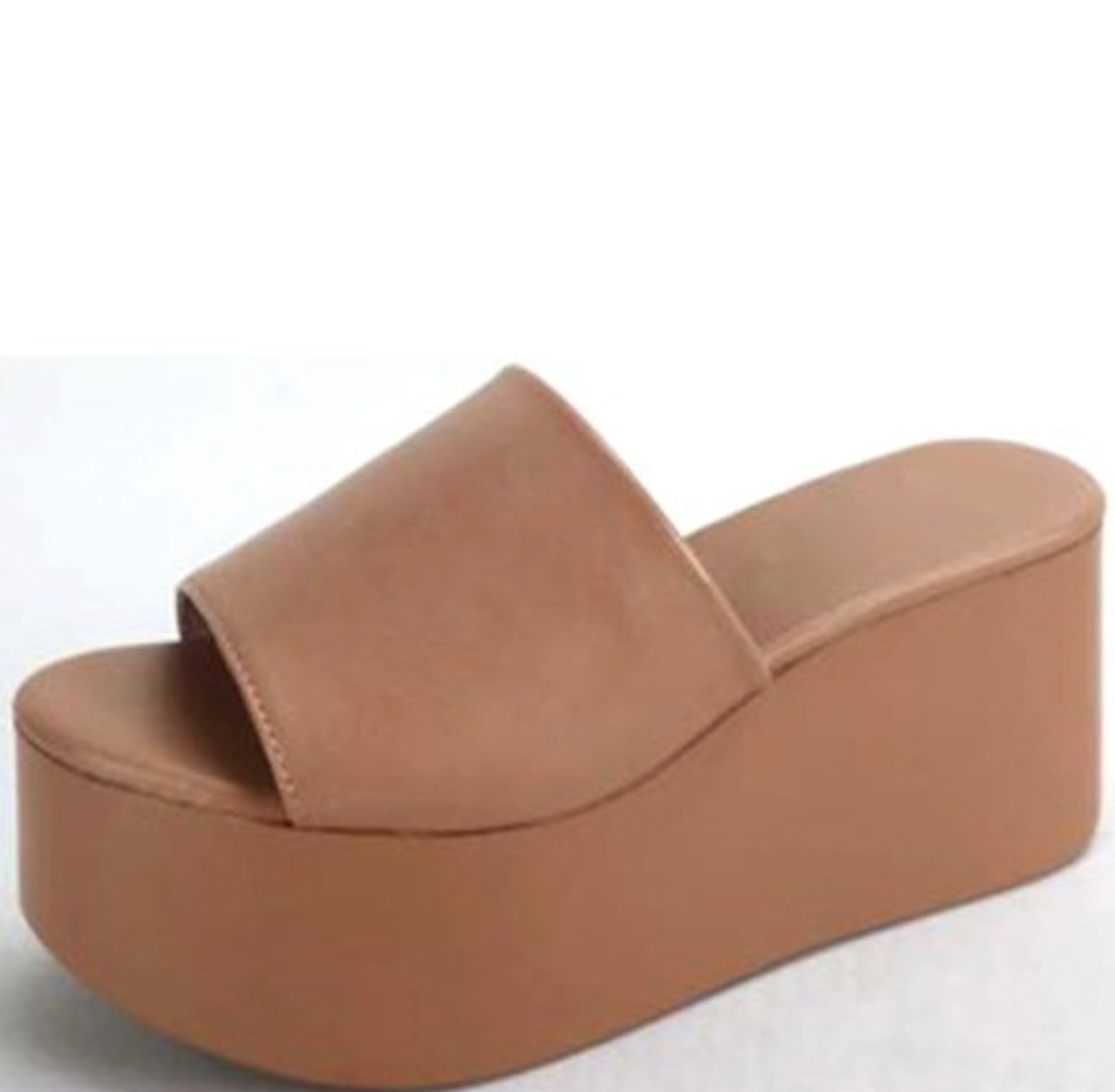THE ERICA PLATFORM CAMEL