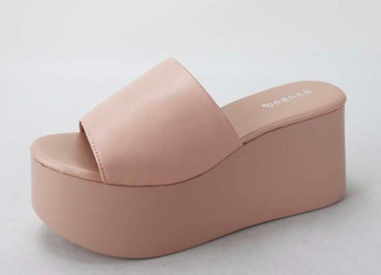 The Erica platform